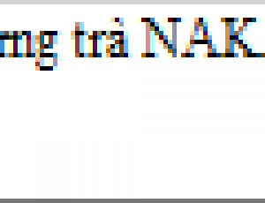 binh-dung-tra-nakaya-2-1l